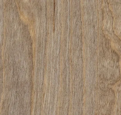 Oak veneer